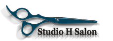 Studio H Logo